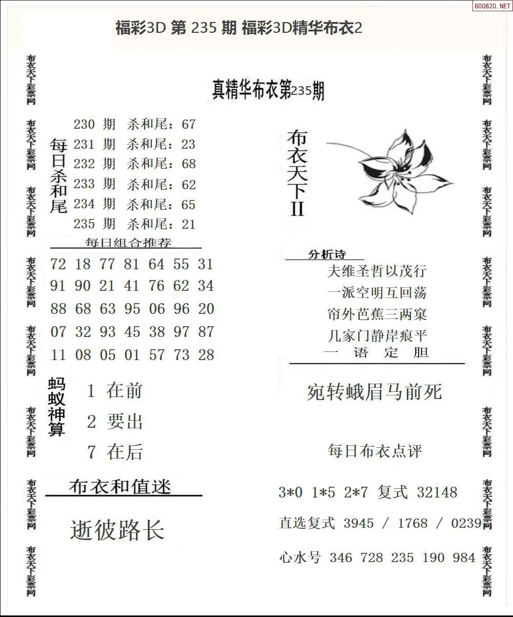 精华布衣2