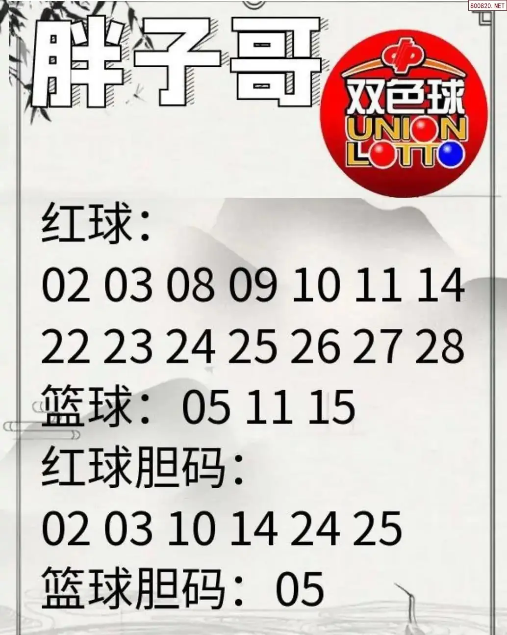 胖哥推荐
