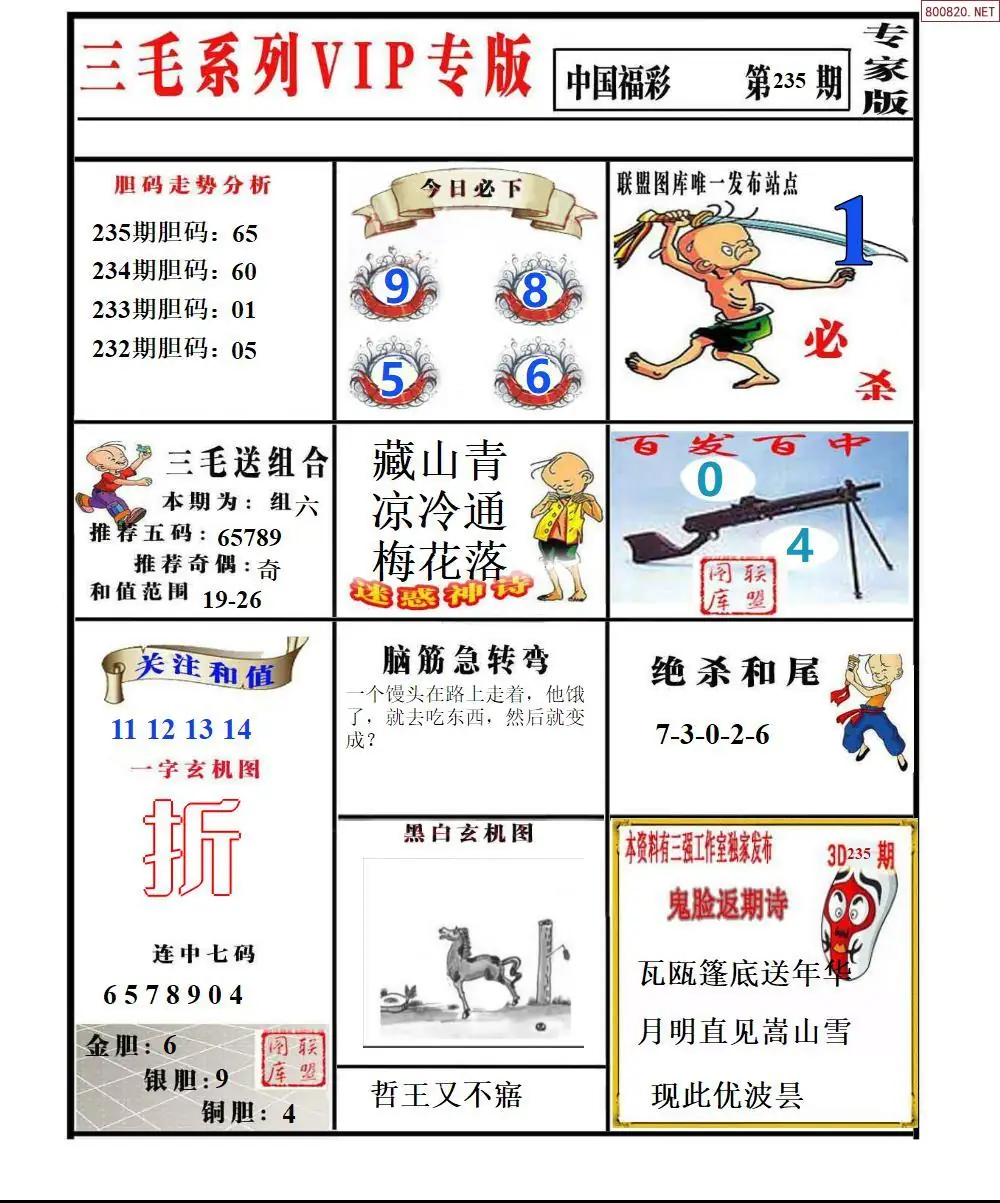 三毛系列VIP专版