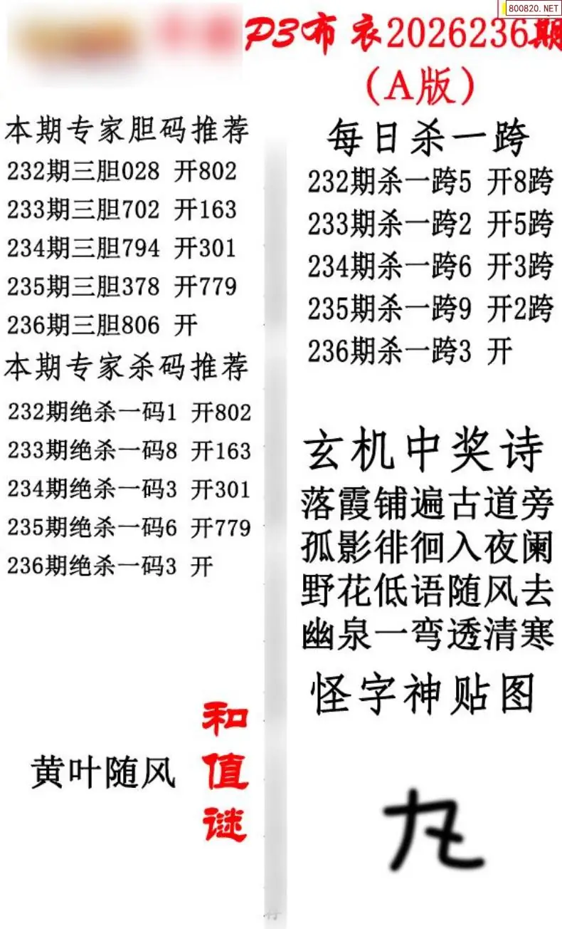 p3牛彩布衣A版
