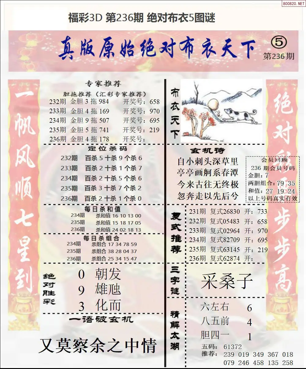 绝对布衣5