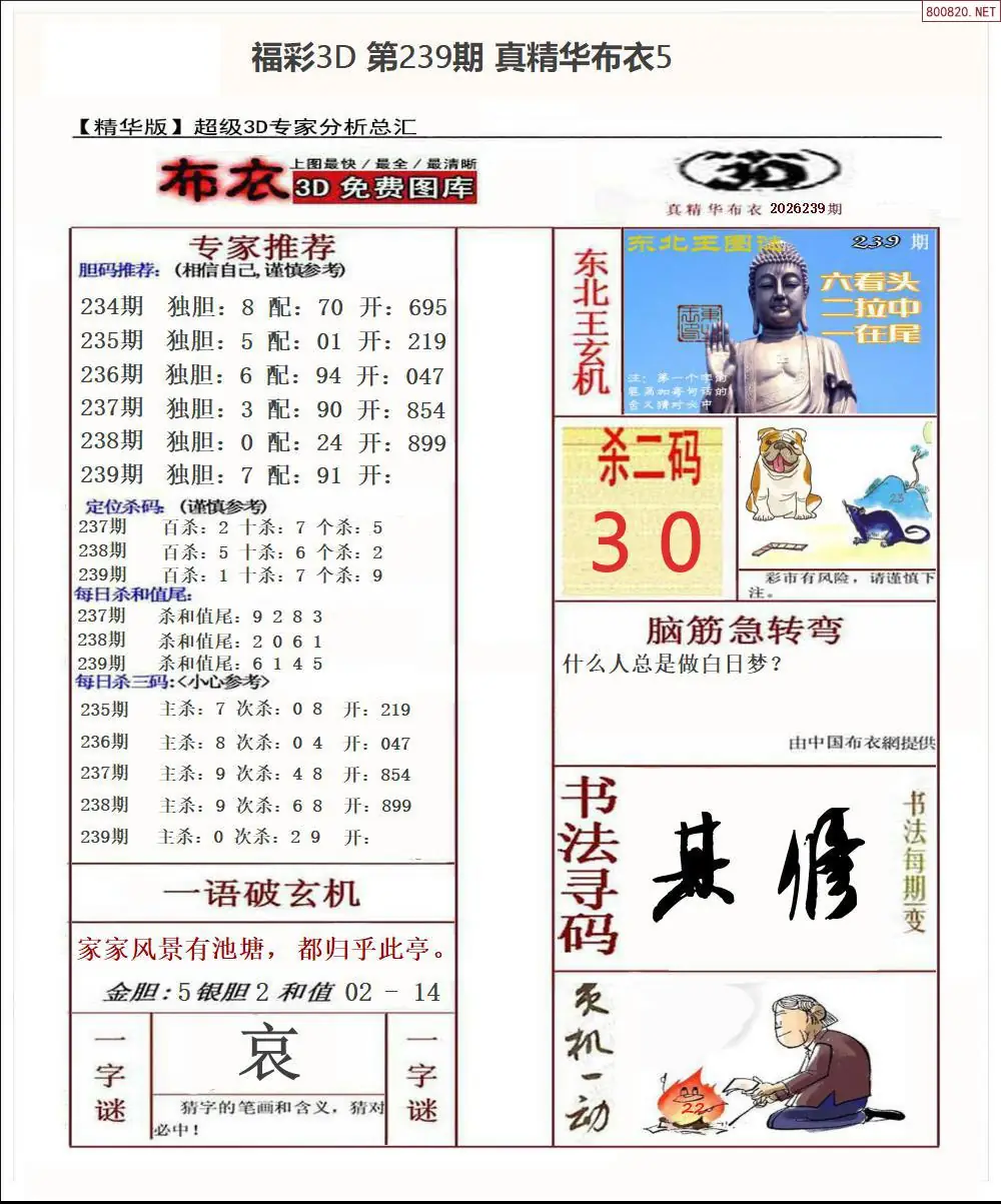 真精华布衣5
