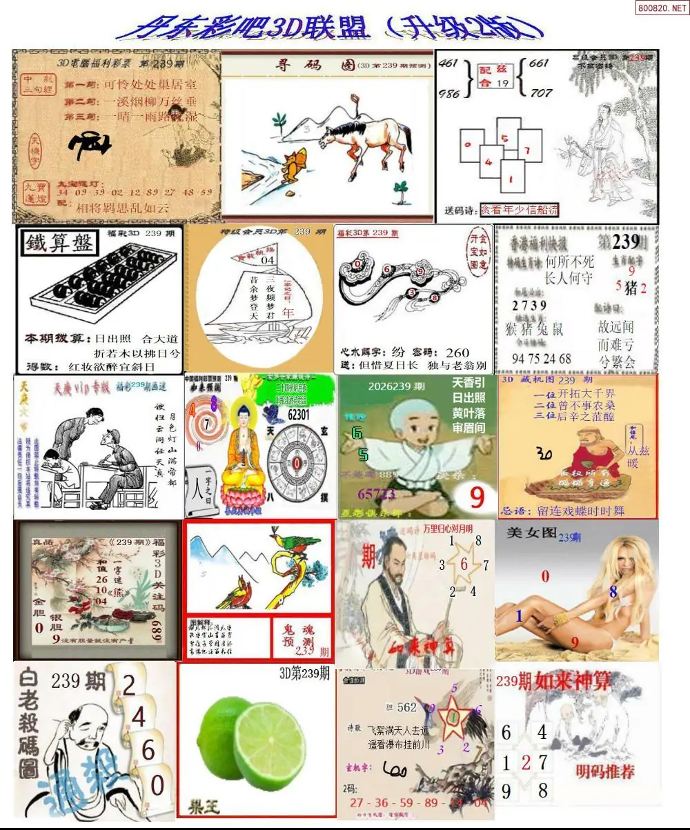 丹东彩吧联盟2