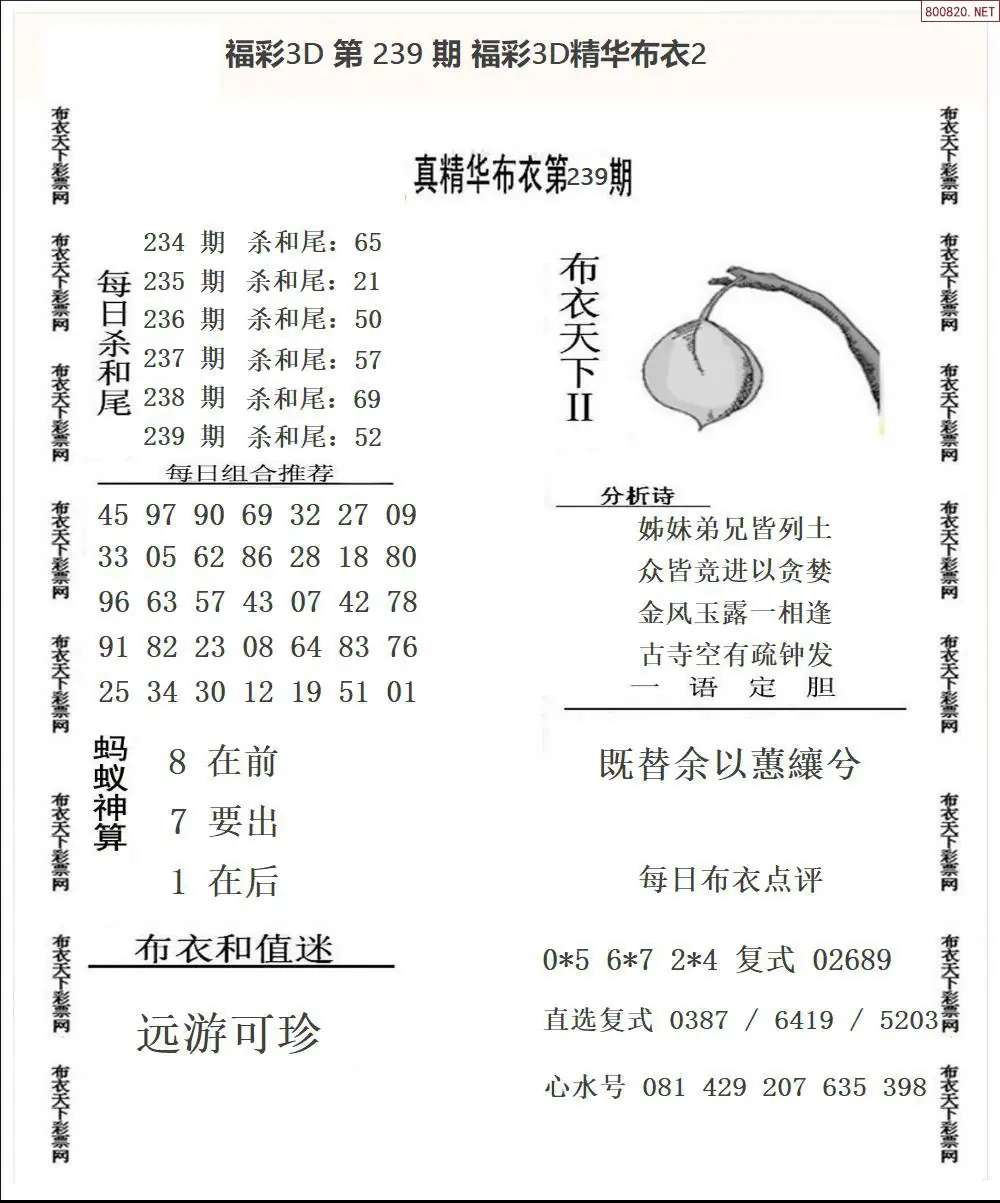 精华布衣2