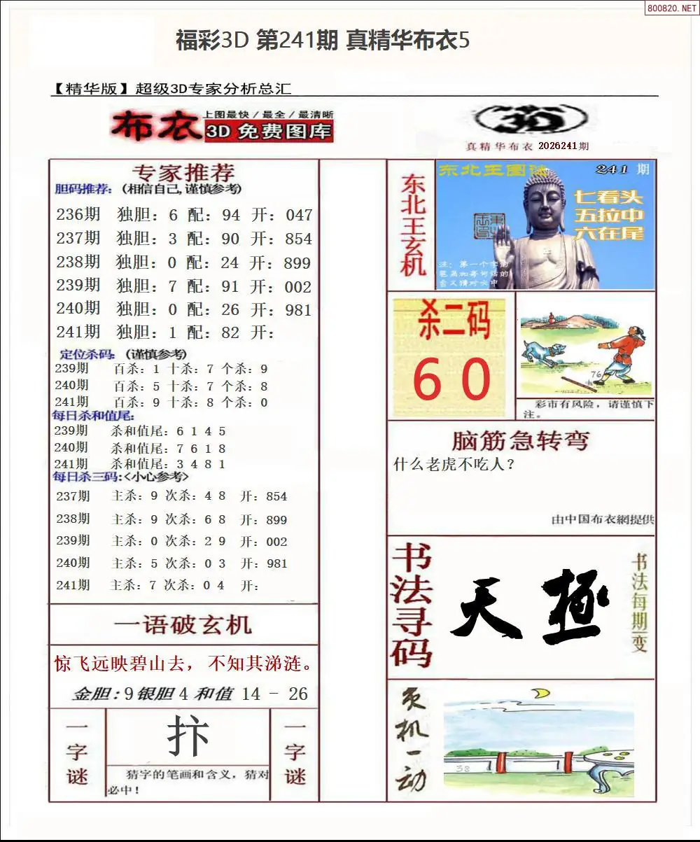 真精华布衣5