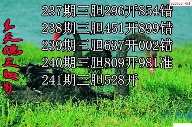 3d福多多原创26241期黑天鹅胆码图迷