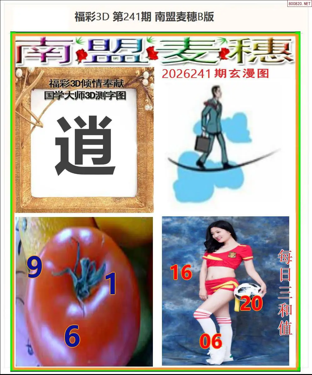 南盟麦穗B版