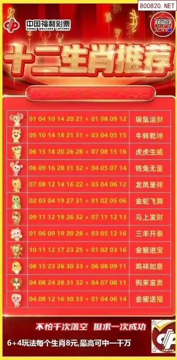 十二生肖推荐图