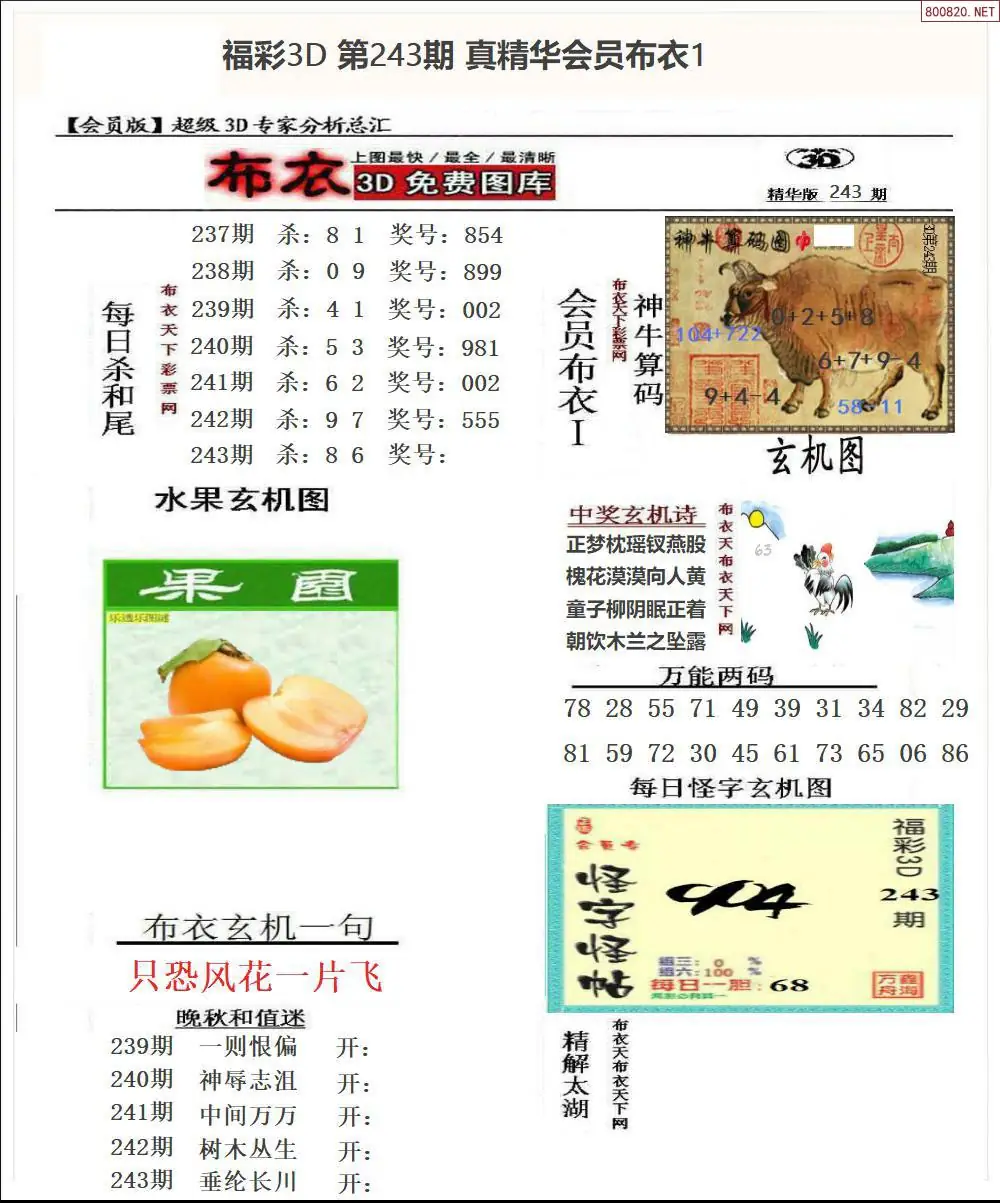 真精华会员布衣1