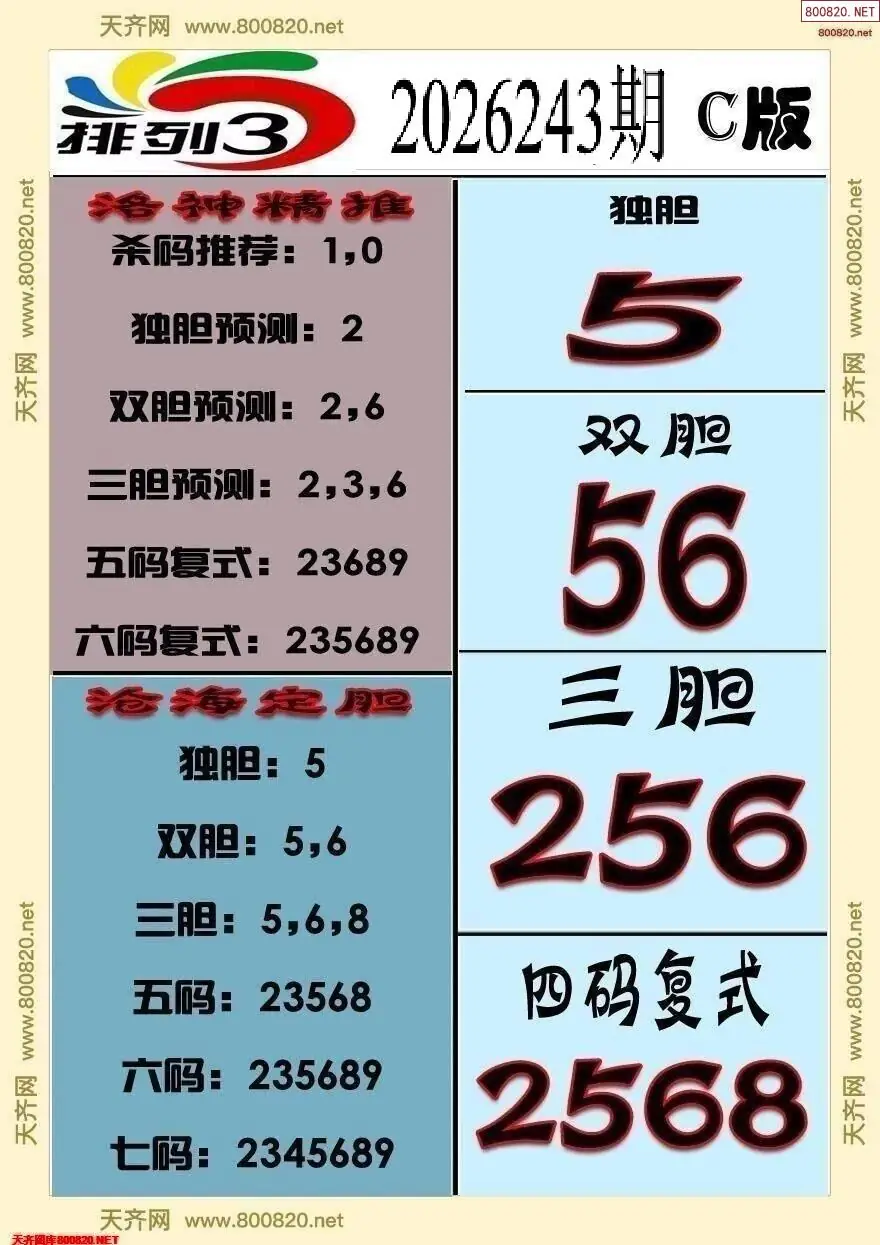 排三专家推荐C
