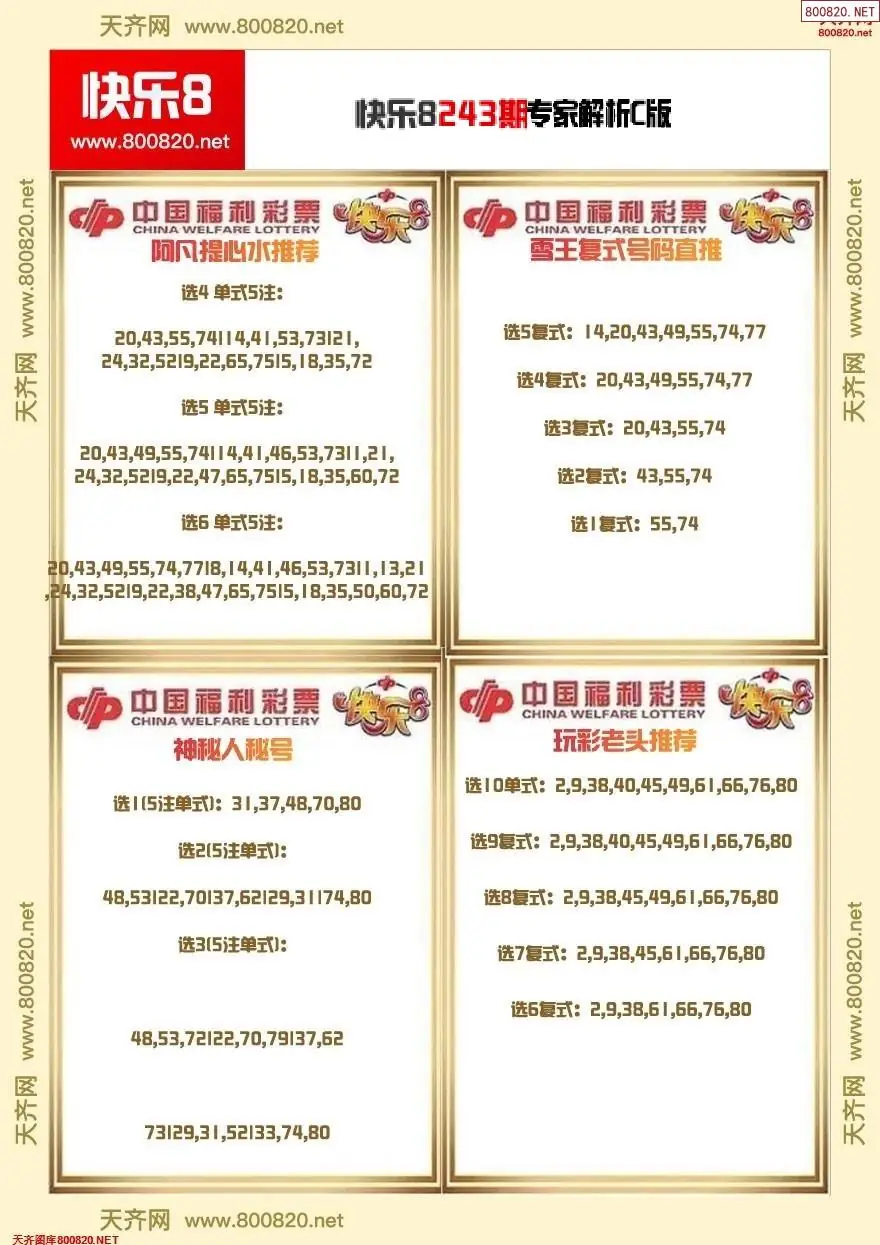 快乐8专家解析C版