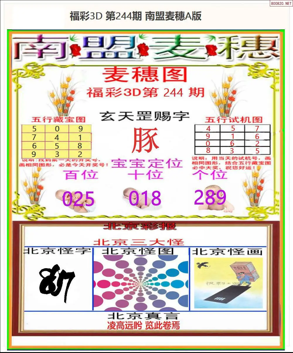 南盟麦穗A版