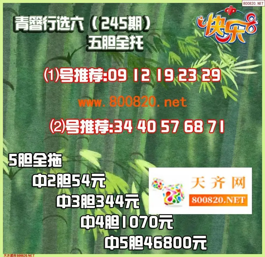 青簪行胆拖图