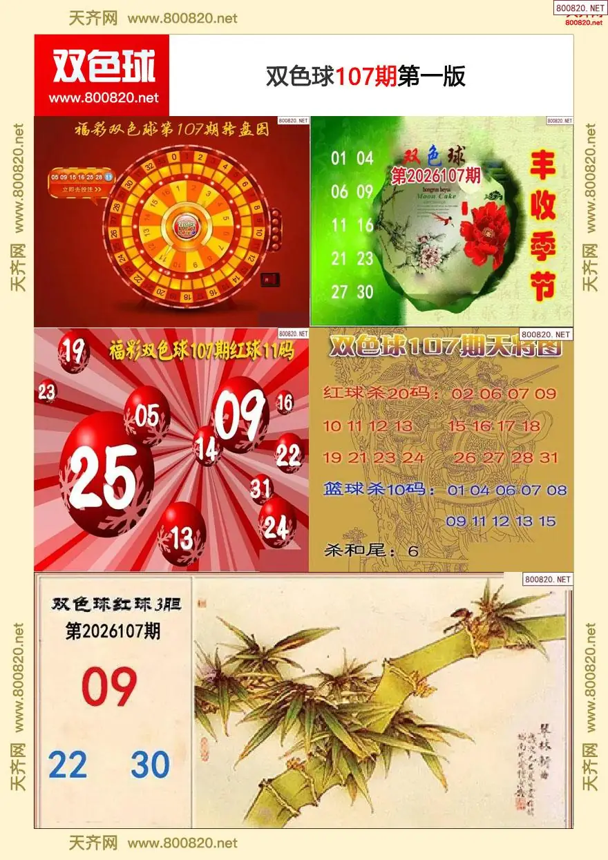 双色球字图谜一版