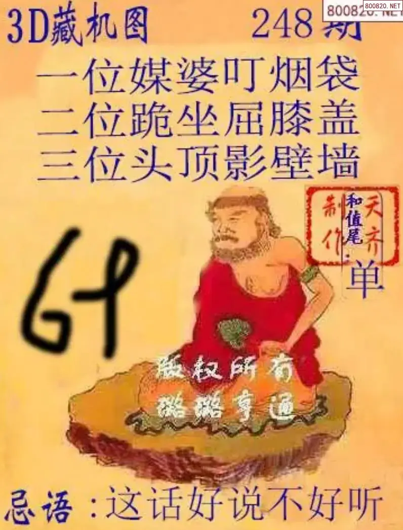 天齐3D藏机图
