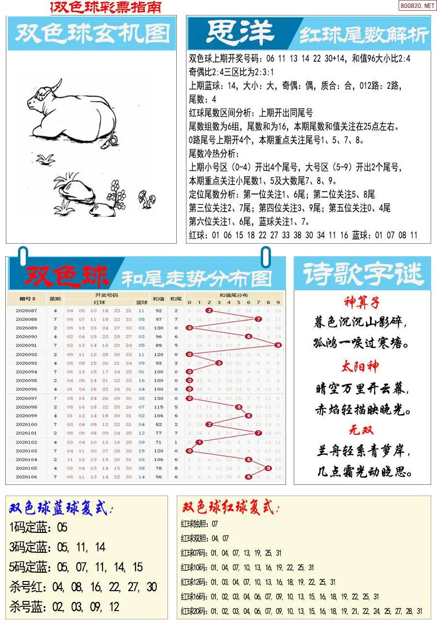 牛彩指南