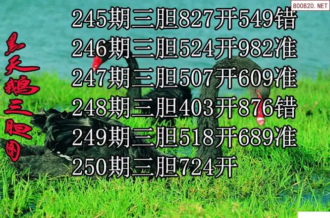 3d福多多原创26250期黑天鹅胆码图迷