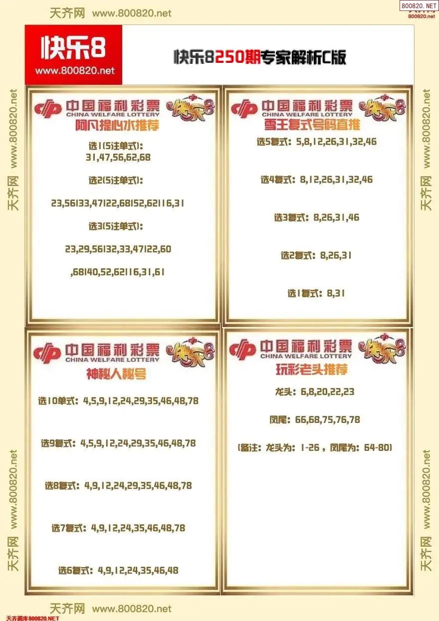 快乐8专家解析C版
