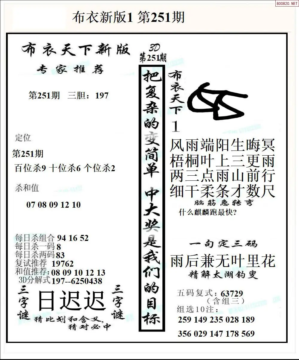 A51新版布衣1