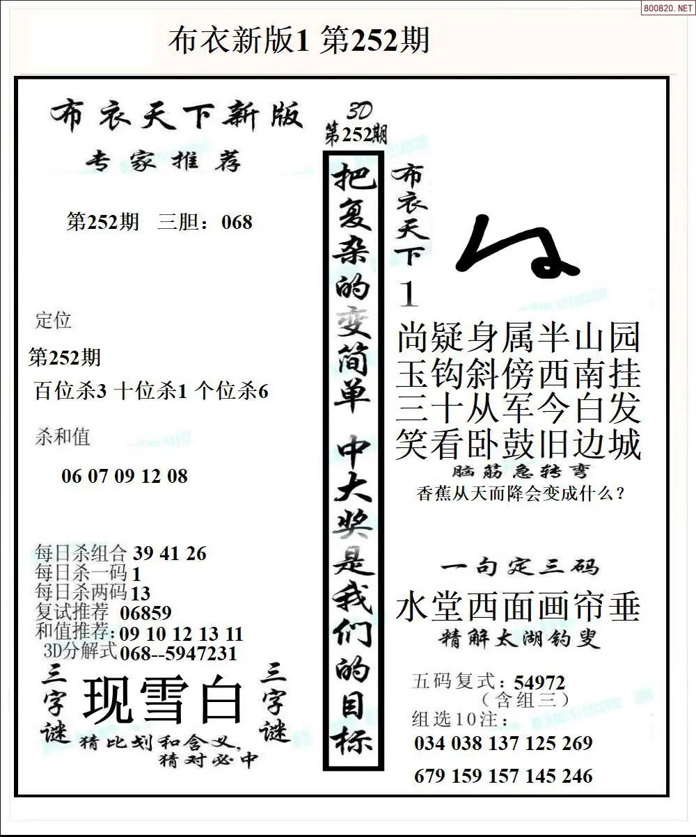 A51新版布衣1
