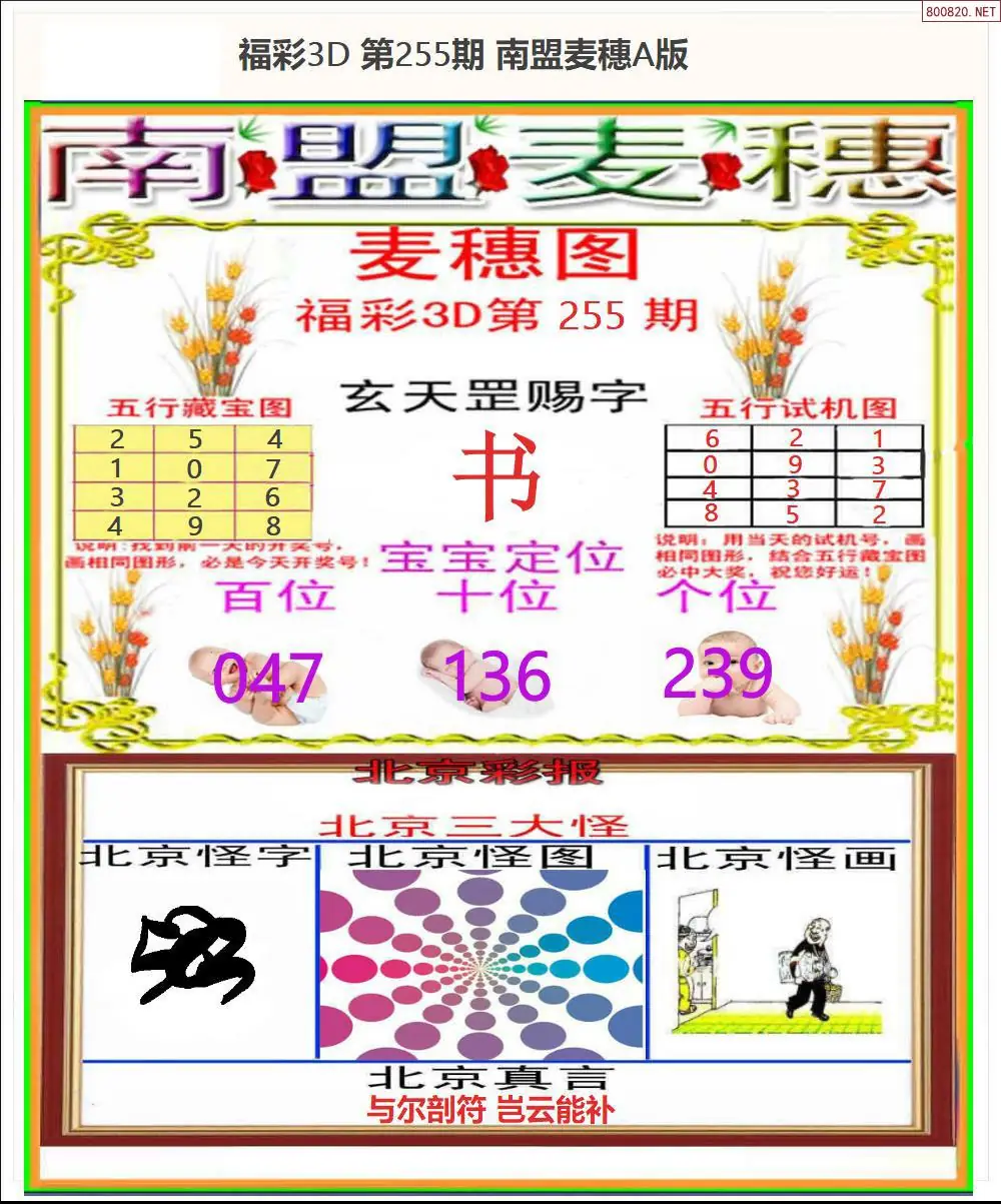 A181南盟麦穗A版