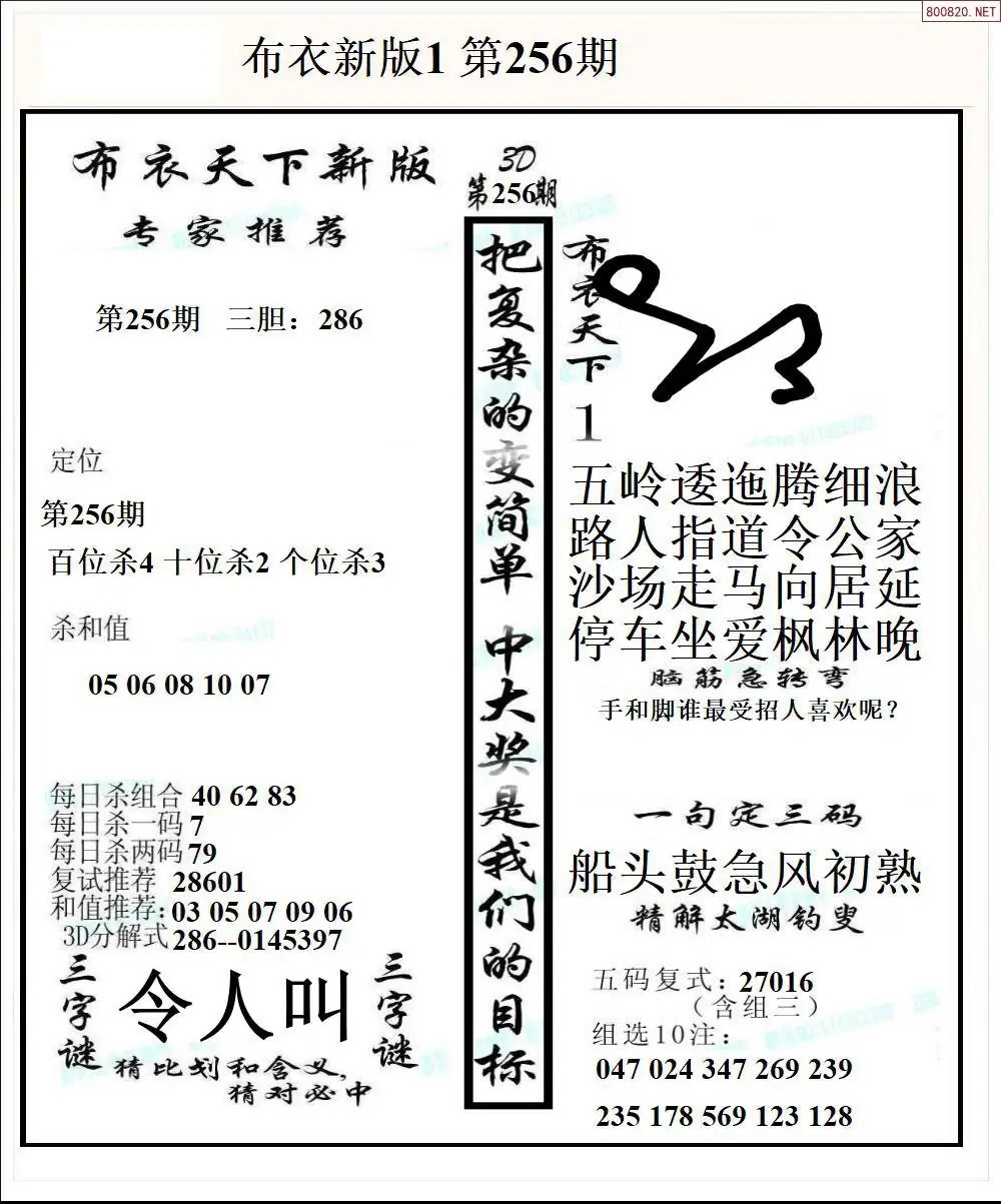 A51新版布衣1
