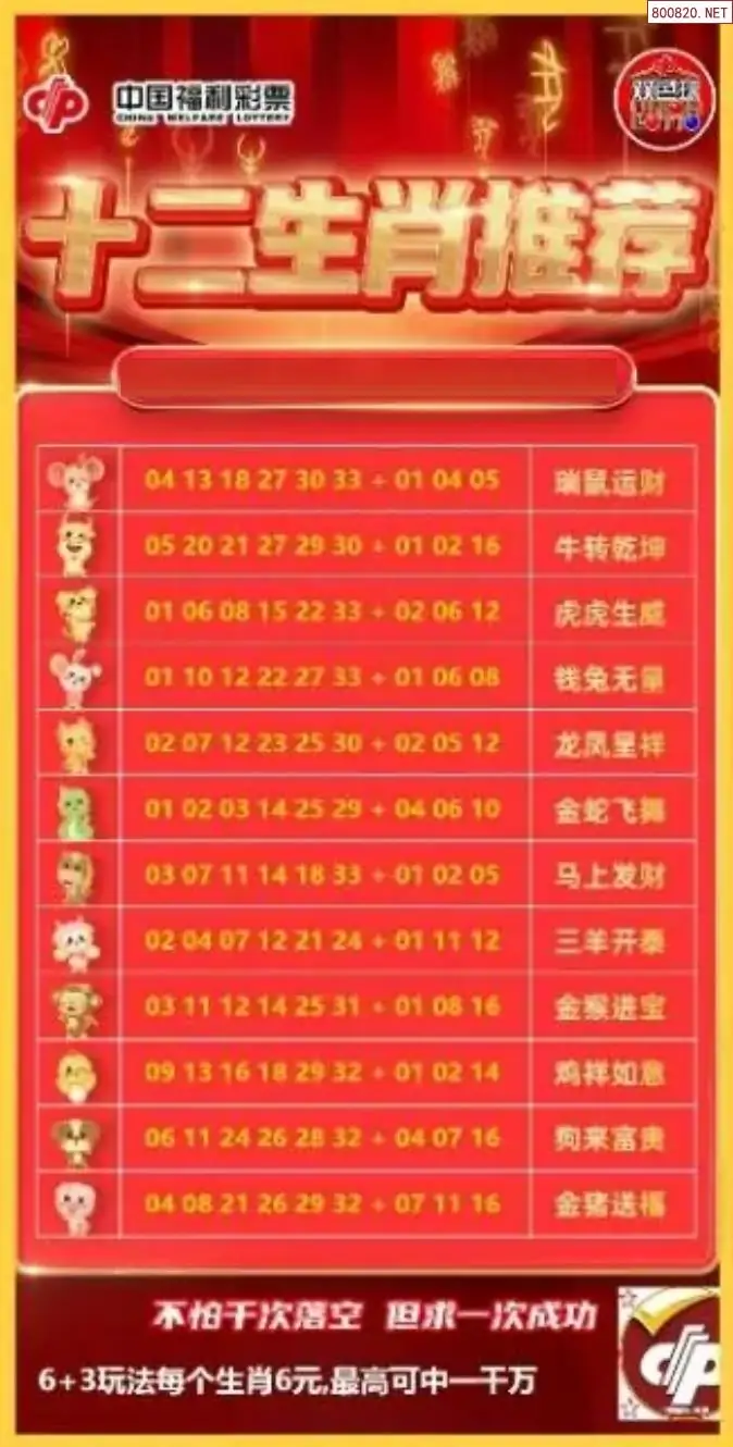 十二生肖推荐图