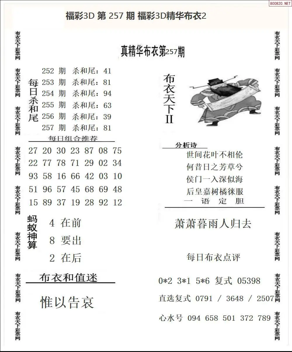 A34精华布衣2