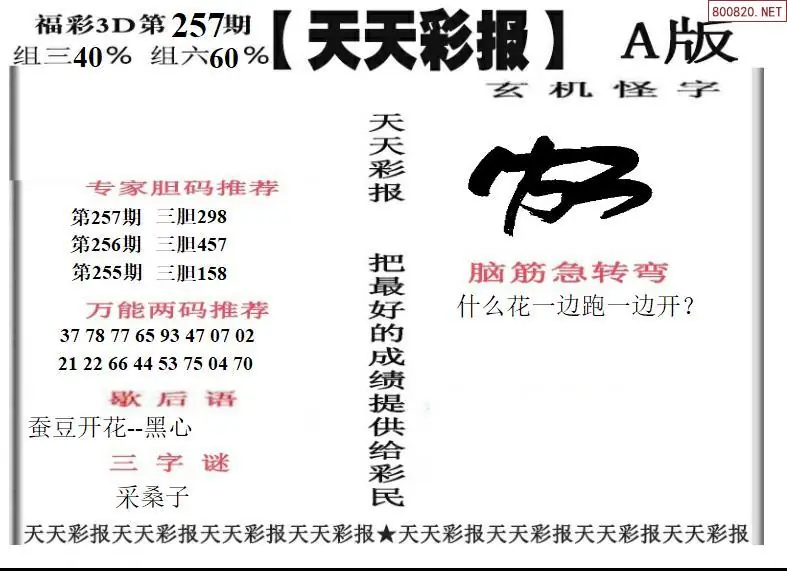 A201天天彩报1版