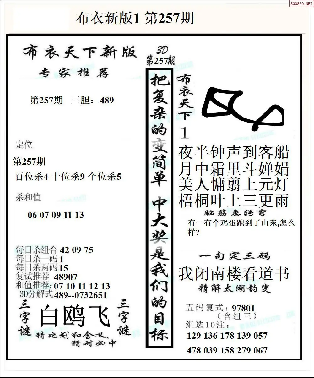 A51新版布衣1