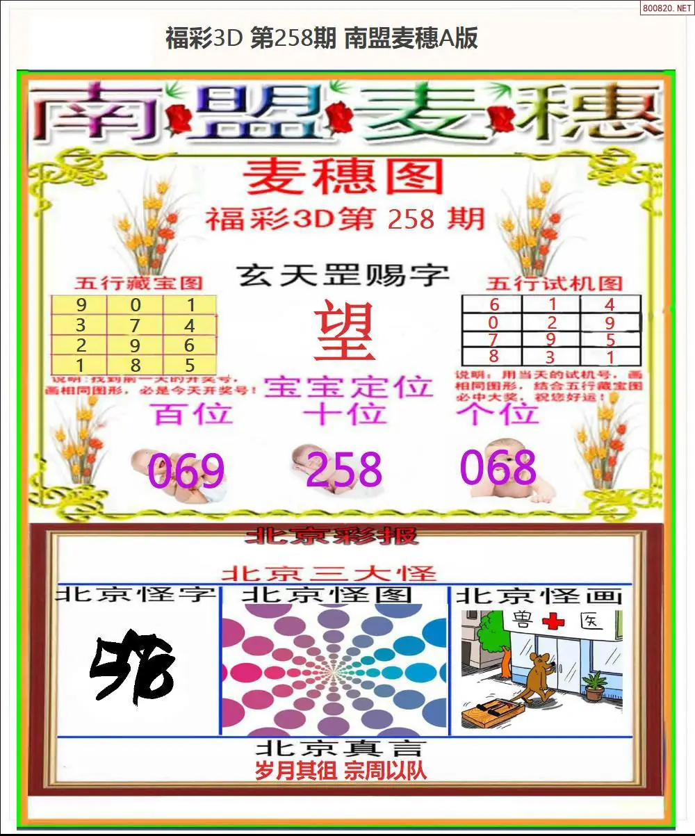 A181南盟麦穗A版