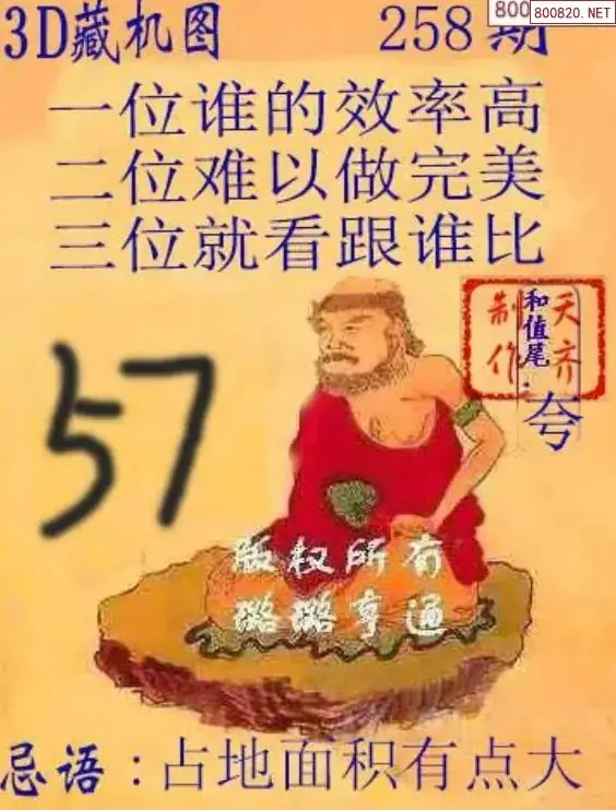 A02天齐3D藏机图