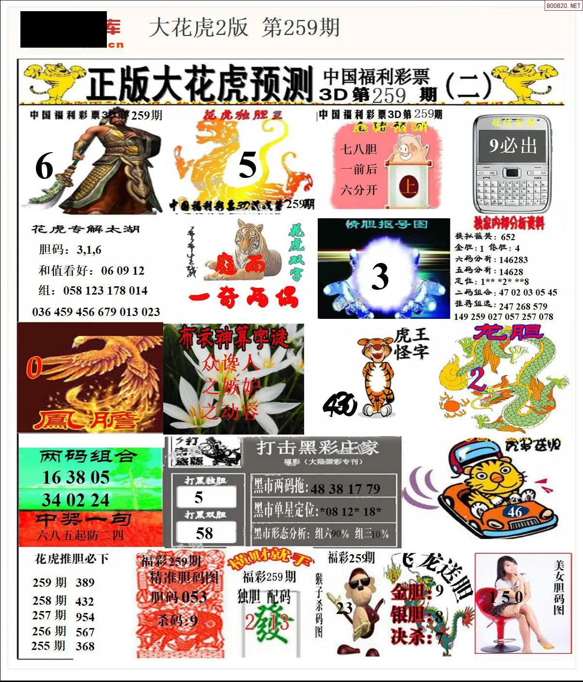 A200大花虎2版