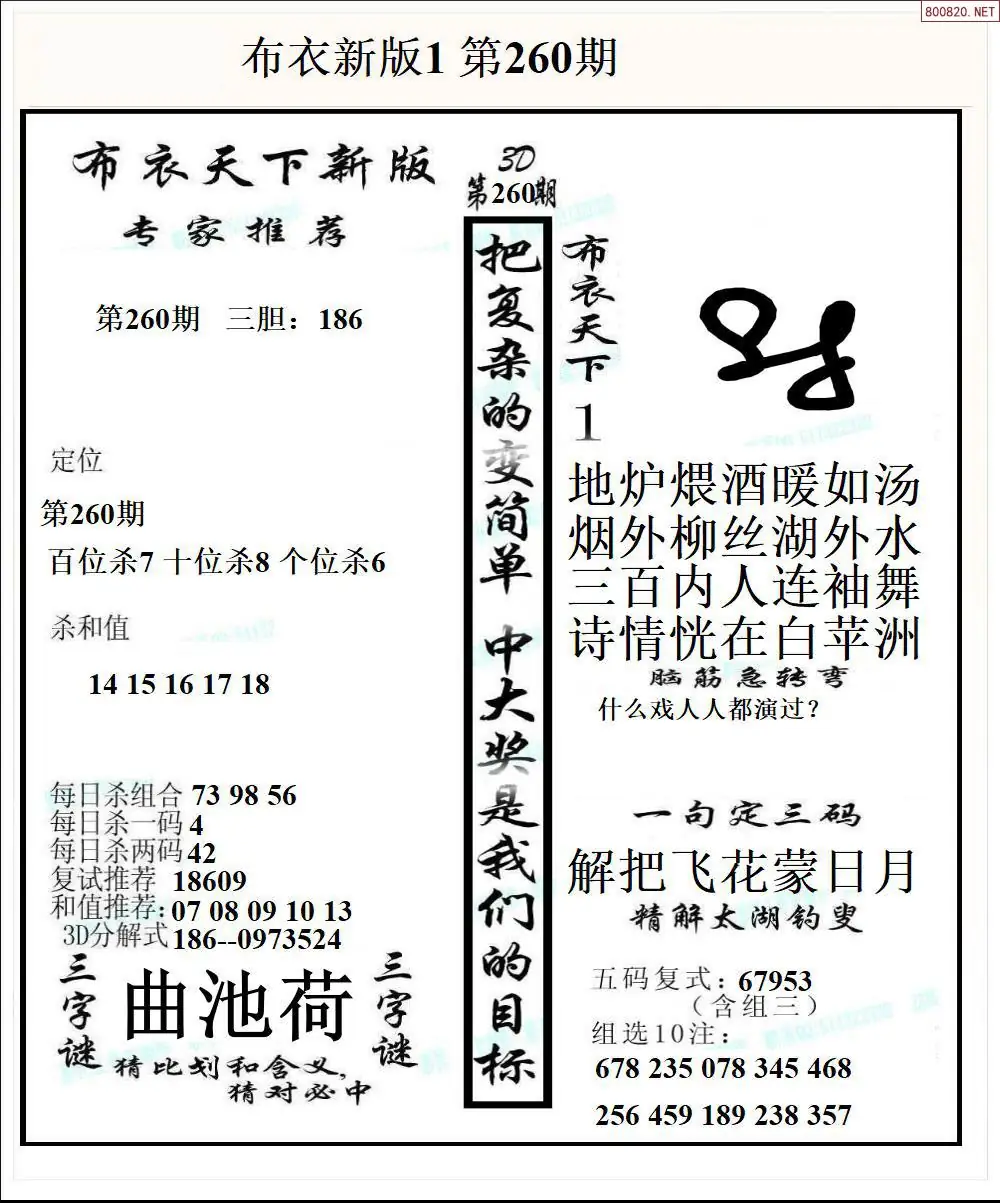 A51新版布衣1
