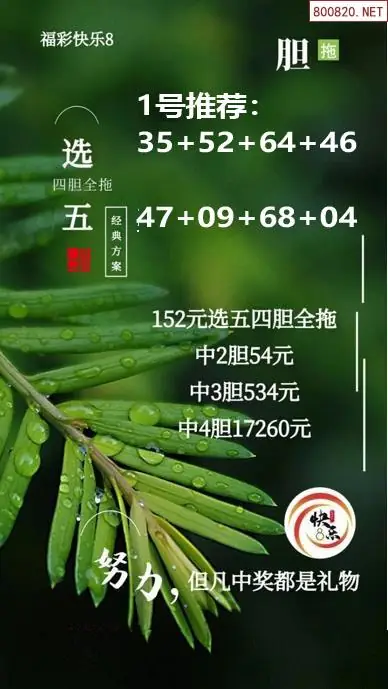 经典胆拖投注