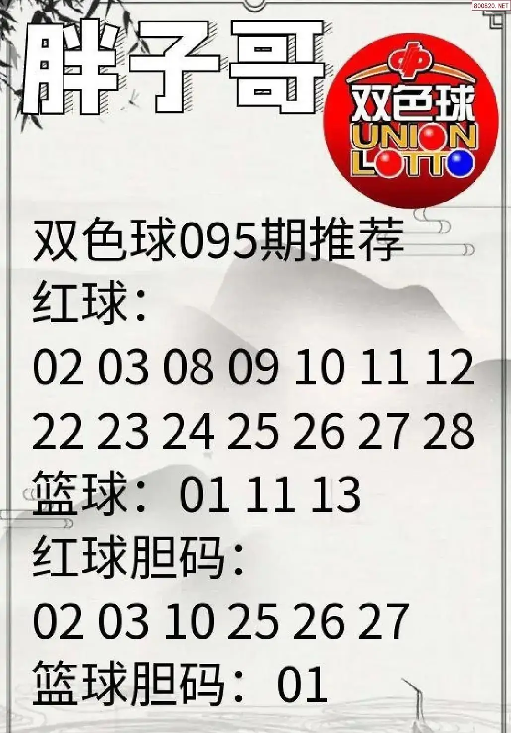 胖哥推荐
