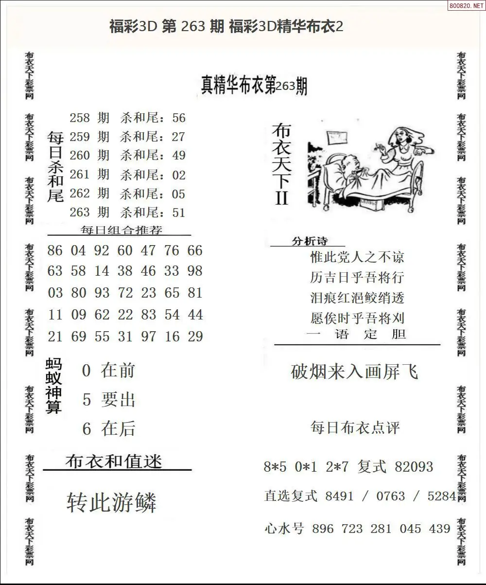 A34精华布衣2