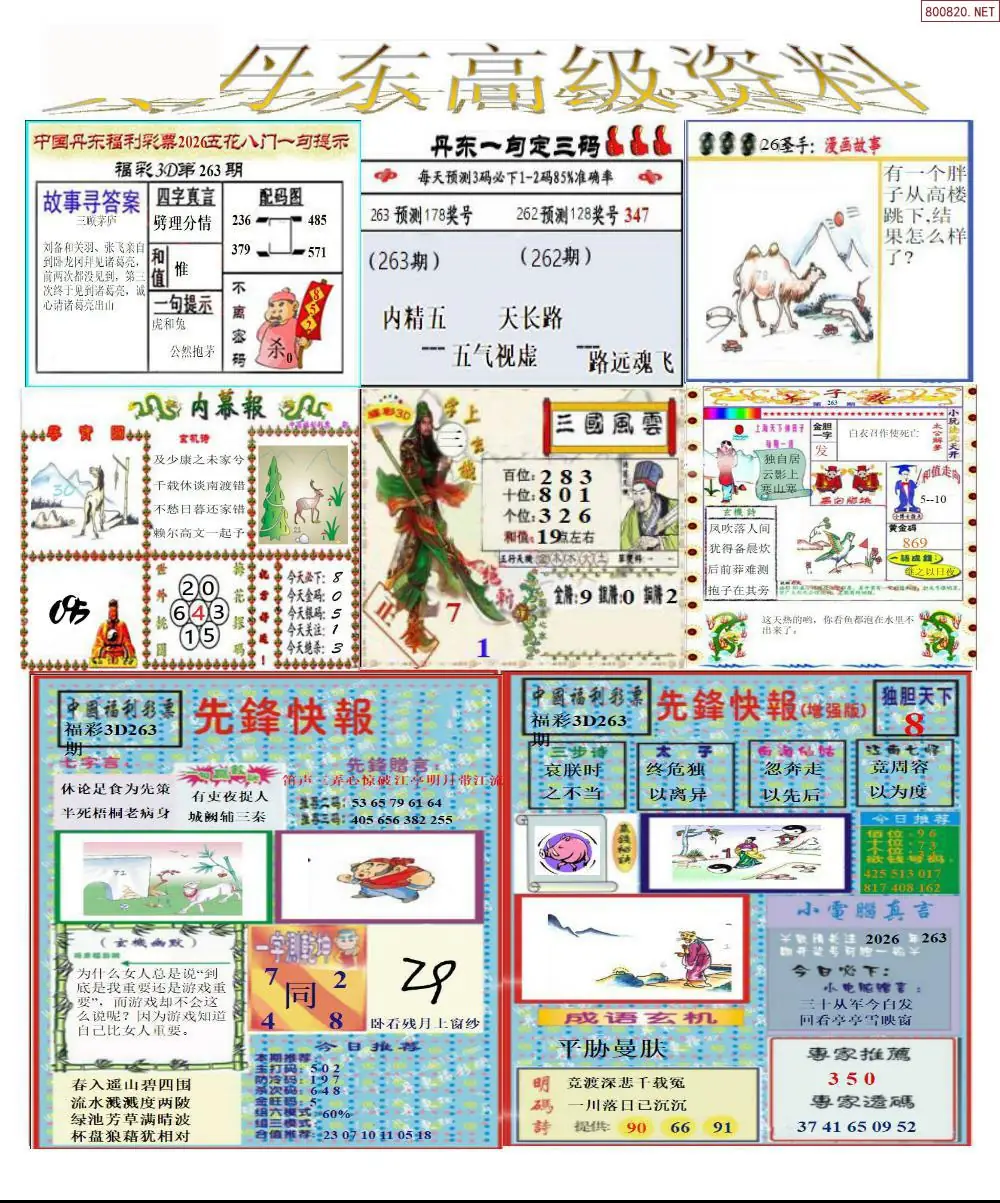 A307真丹东高级资料