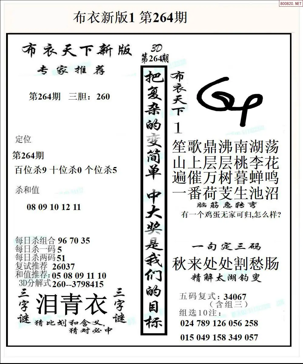 A51新版布衣1