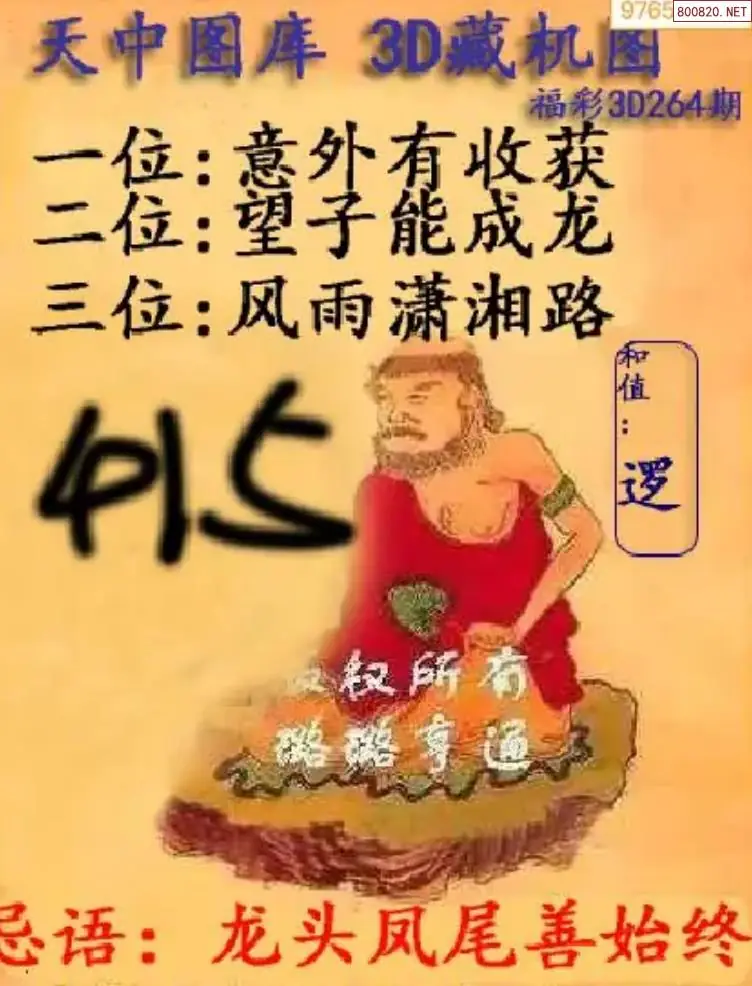 天中藏机图