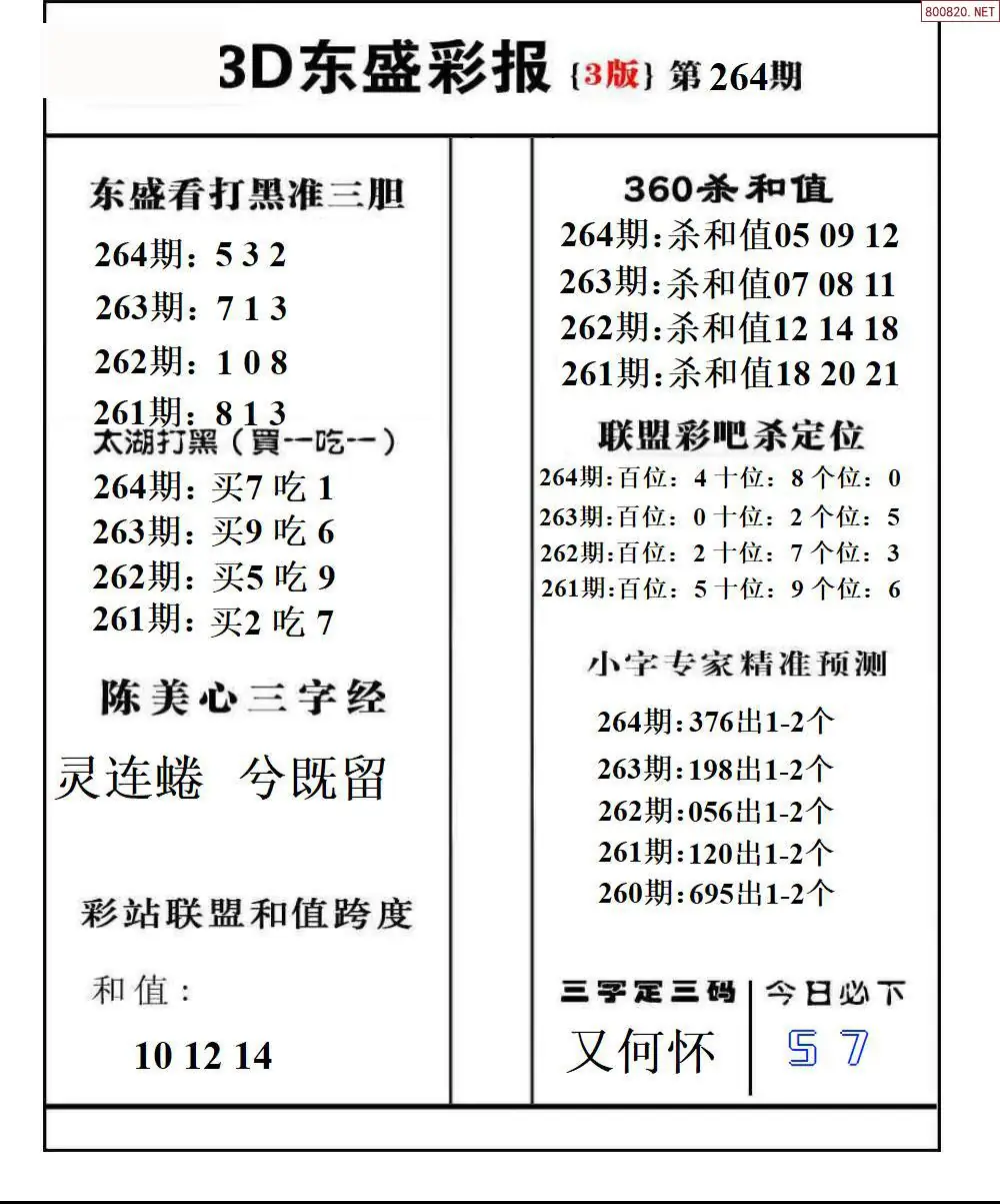 A229东盛彩报3版
