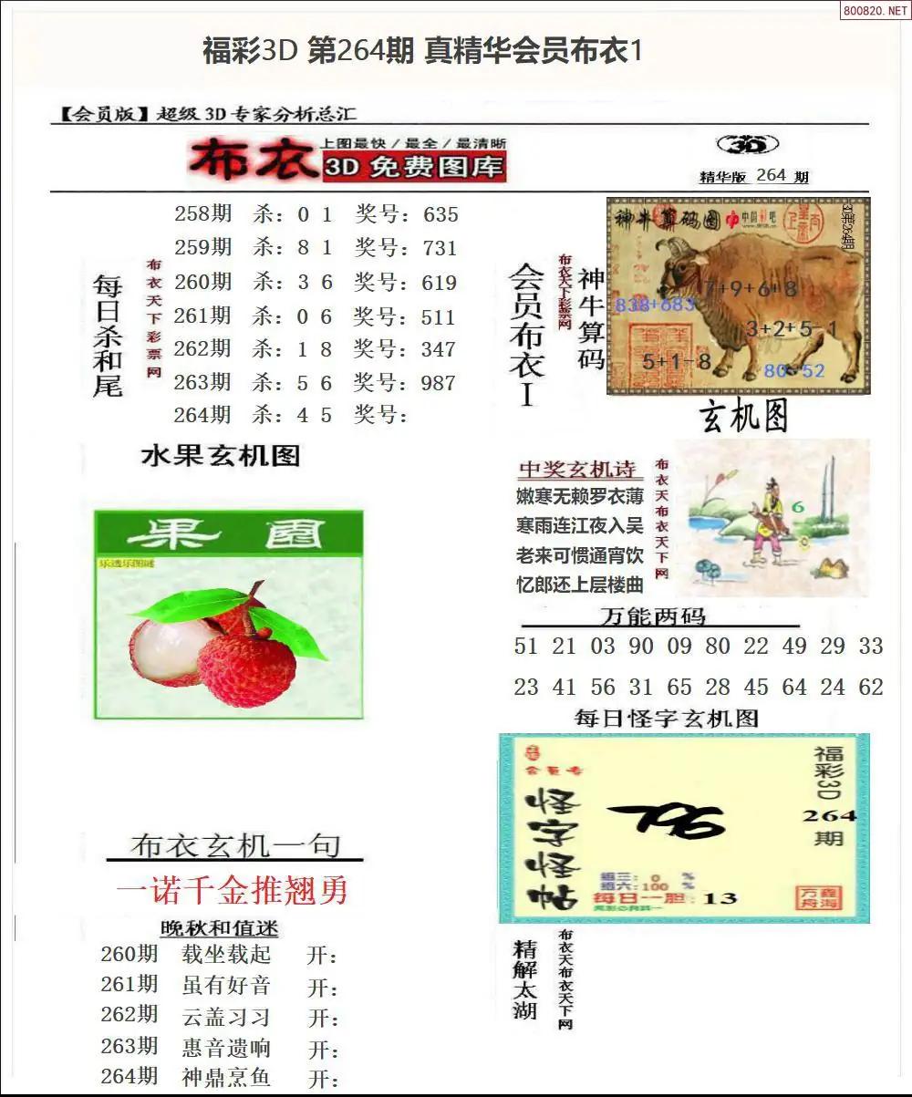 真精华会员布衣1