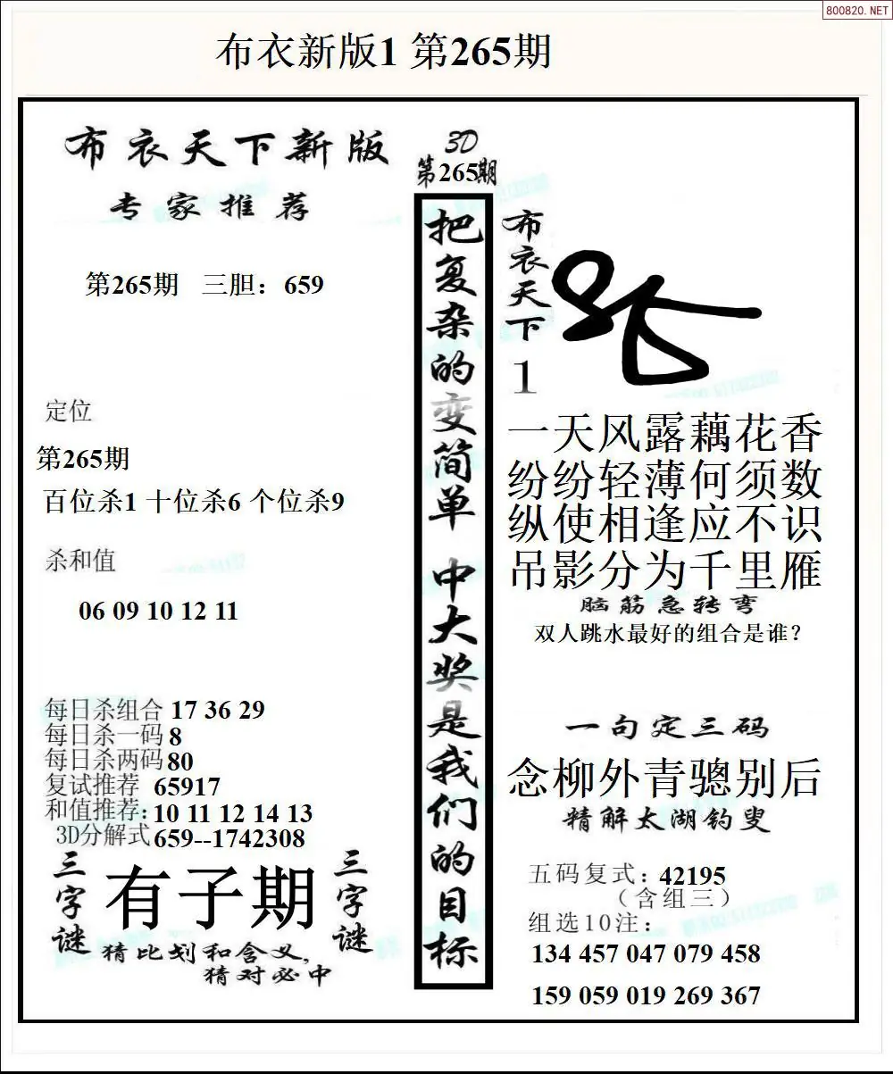 A51新版布衣1