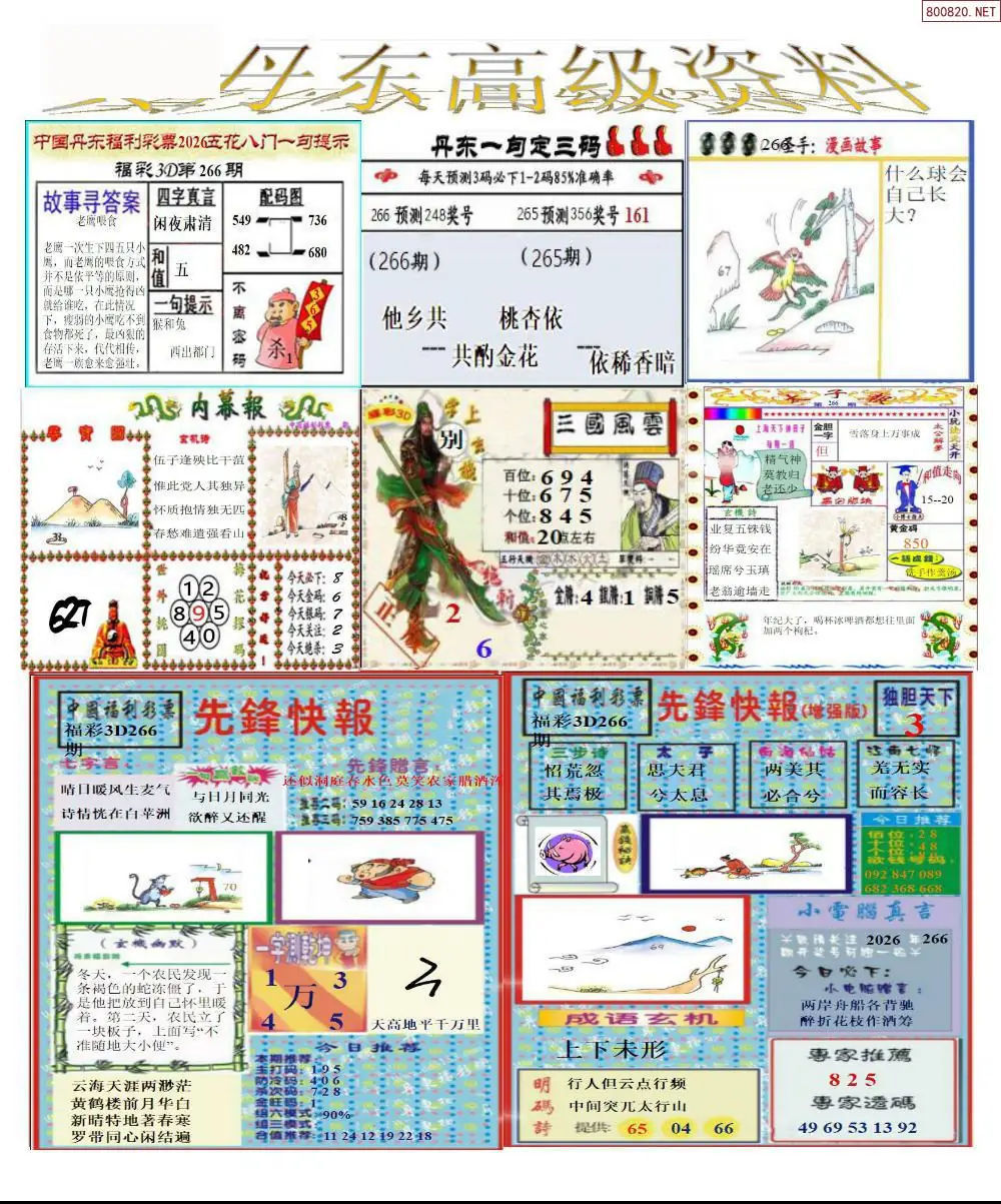 A307真丹东高级资料