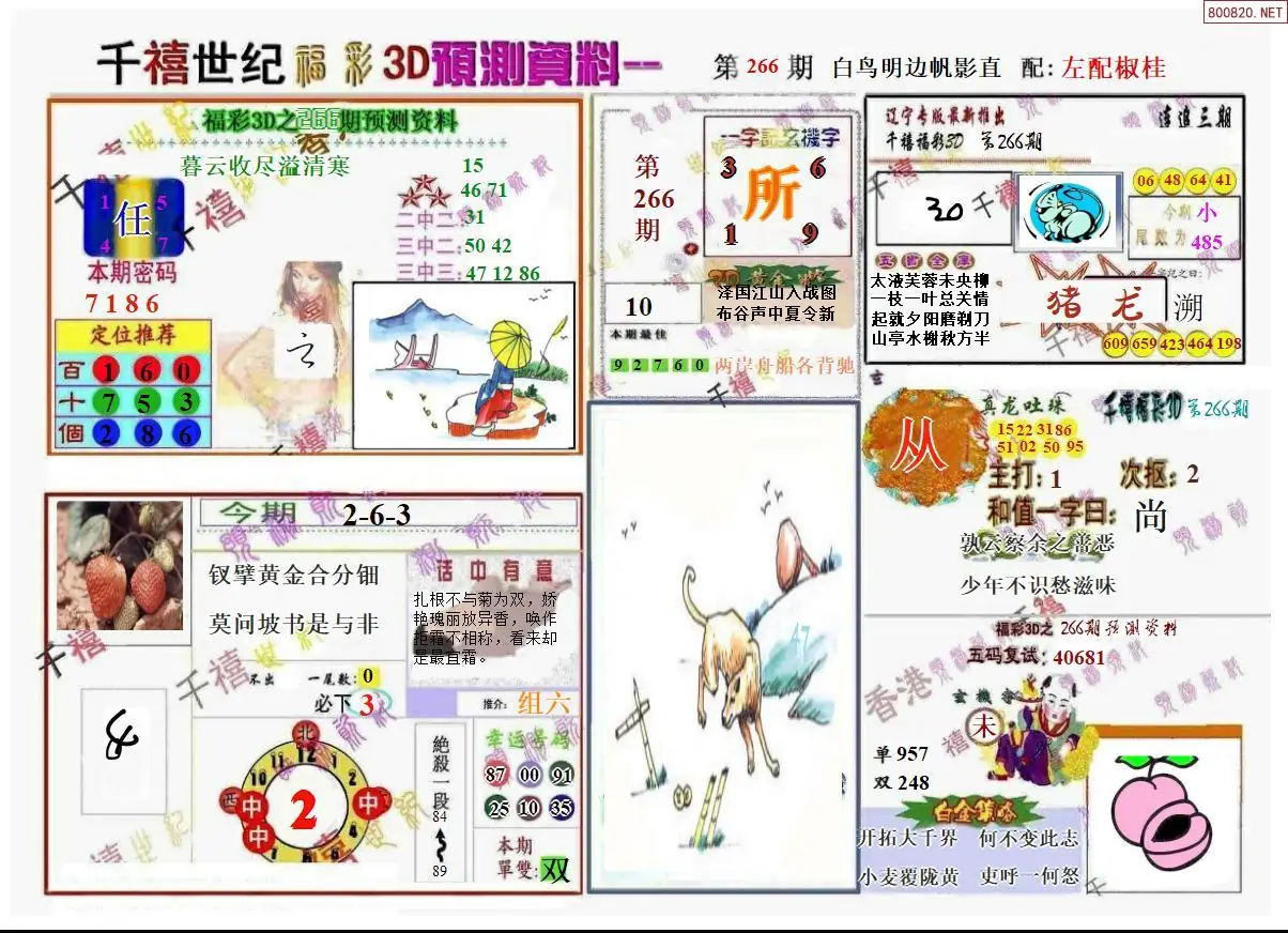 A207千禧世纪A版