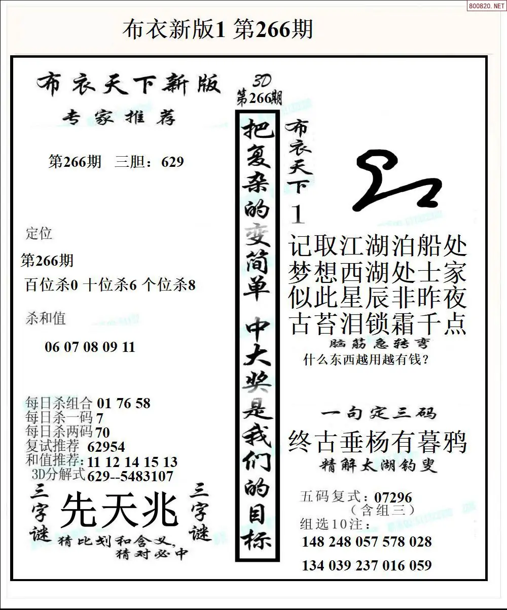 A51新版布衣1