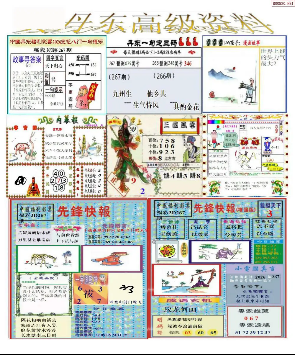 A307真丹东高级资料