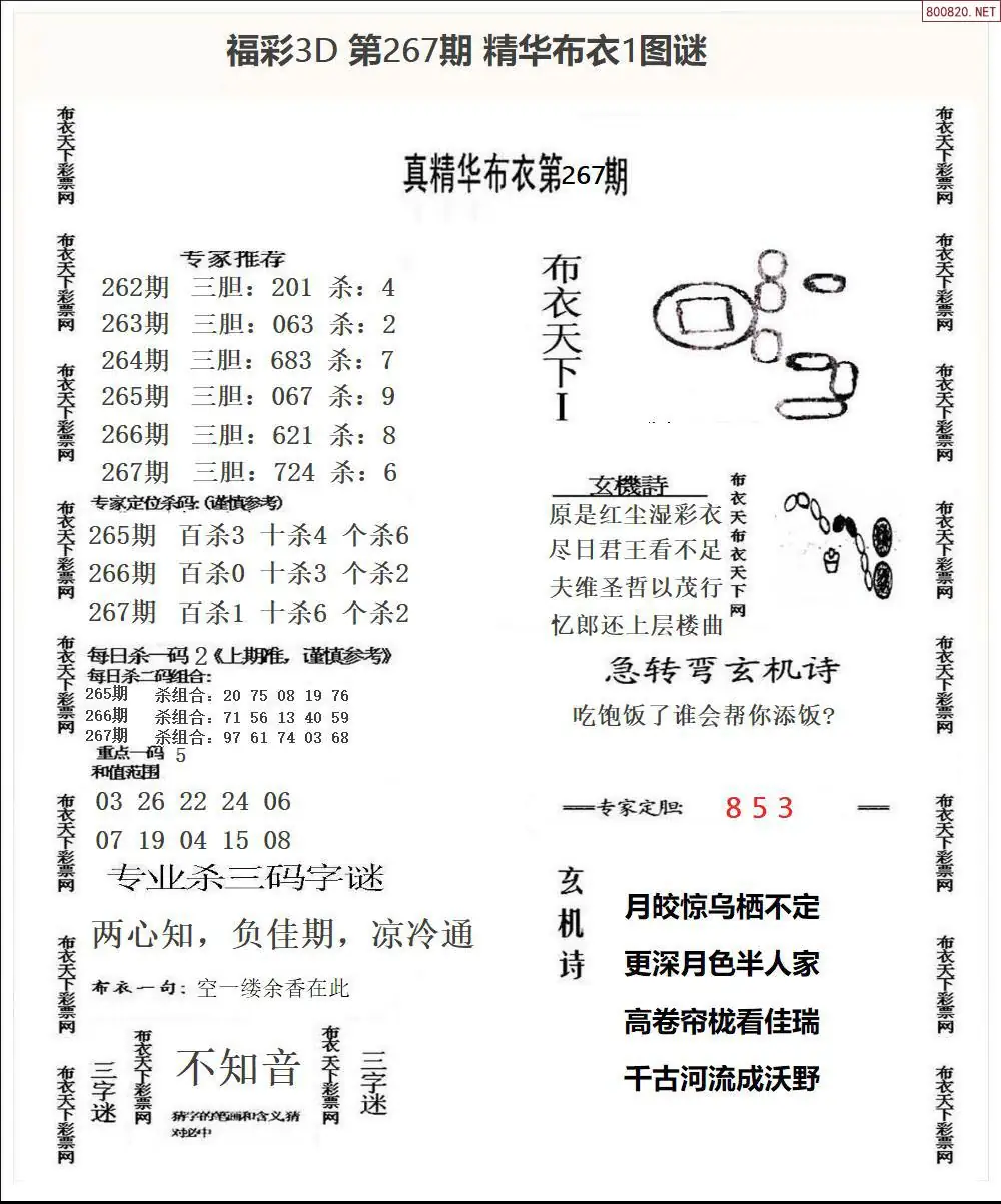 A33精华布衣1