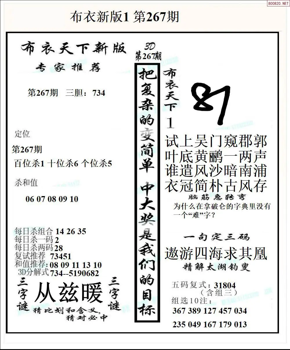 A51新版布衣1