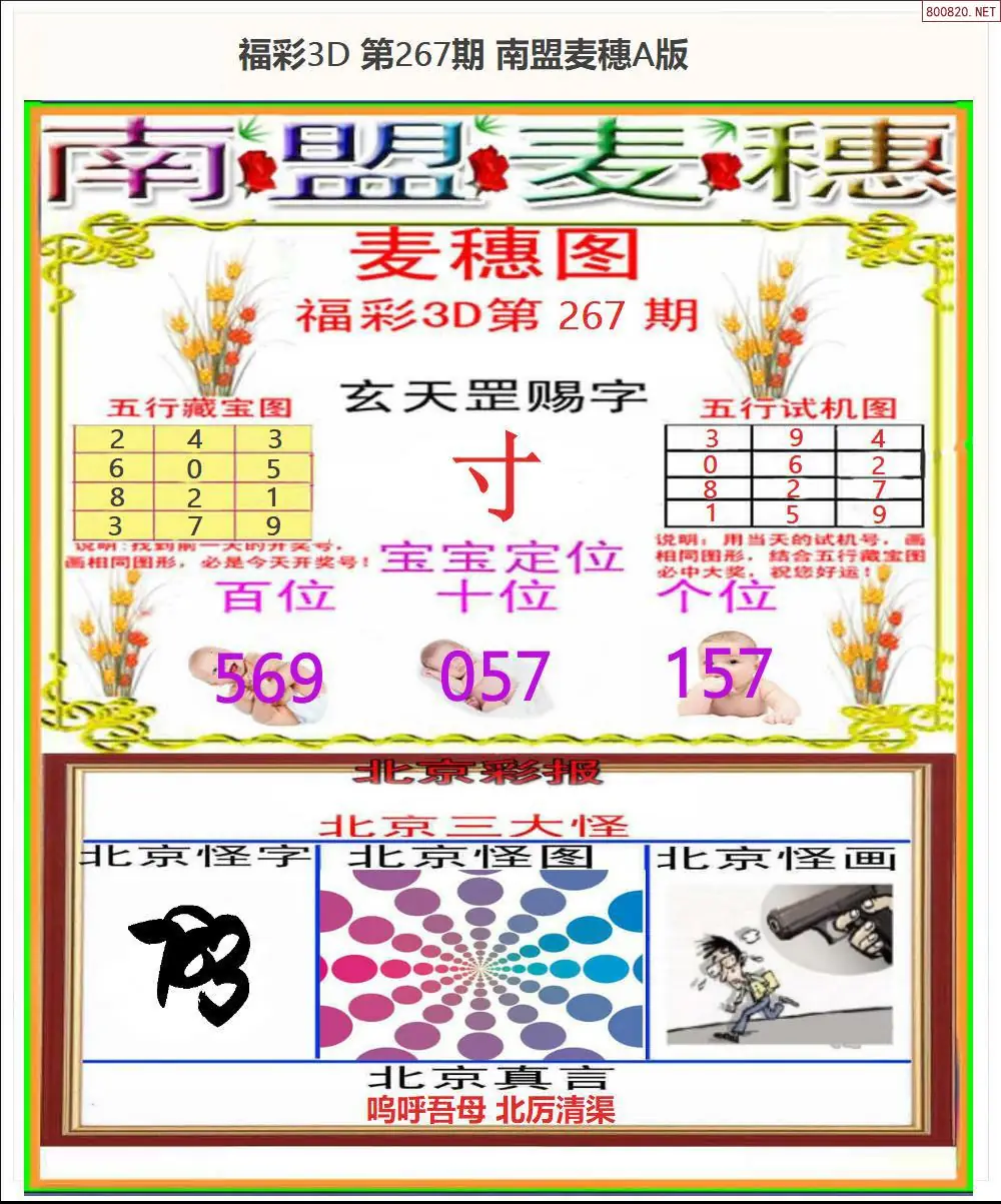 A181南盟麦穗A版